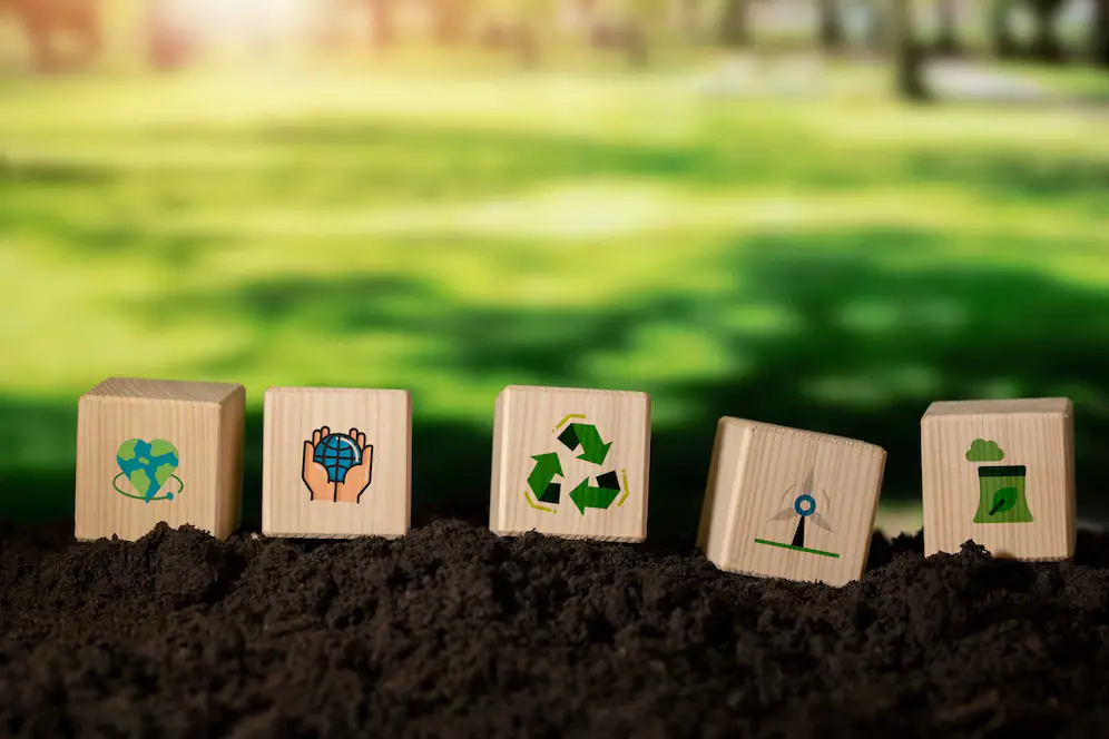 Incorporate sustainability in your restaurant branding strategy